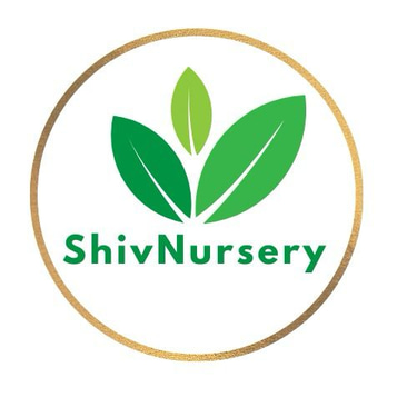 Shiv Nursery logo