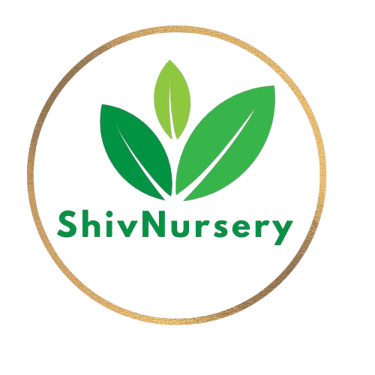 Shiv Nursery logo