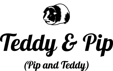 Teddy and Pip logo