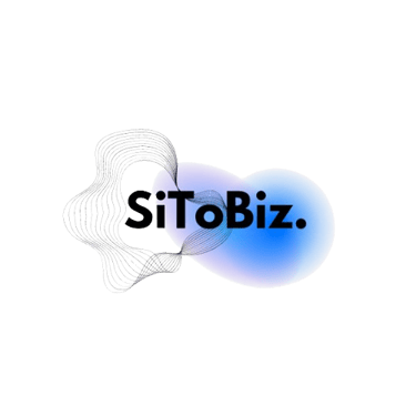 SiToBiz logo
