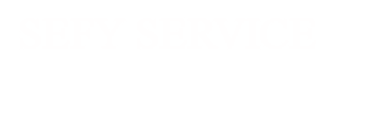 Sefy Service logo