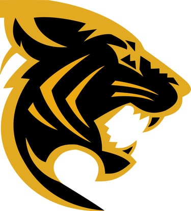 Taipei  Tigers Hockey Club logo