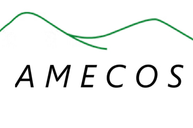 AMECOS logo