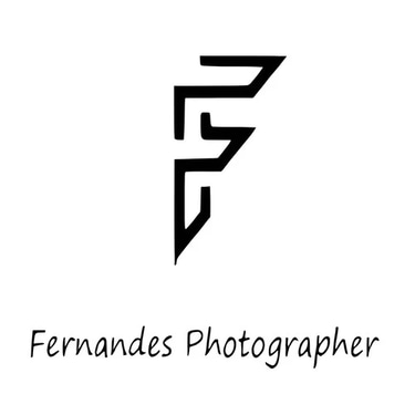 Viet Nam Snaps logo