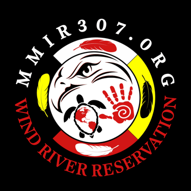 MMIR 307 logo