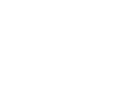 Nicu logo