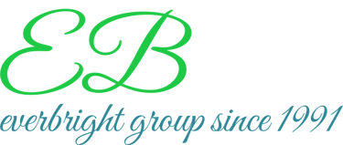 EB GROUP SINCE 2011 logo