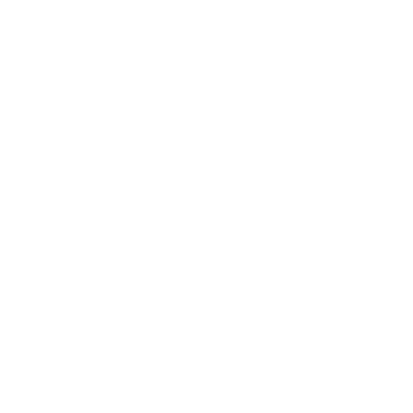 AIME™ by My Rich Brand logo