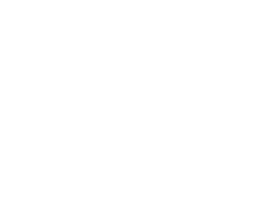 Doutora Maria Paula Fernandes logo