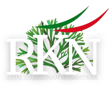RKN logo