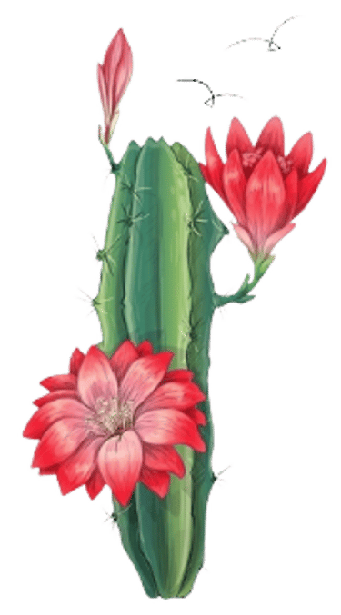 Fulô de Mandacaru logo