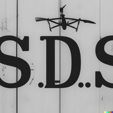 pilote professionnel de drone logo