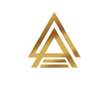 TRIDOMUS CAPITAL logo