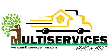 Multiservices logo