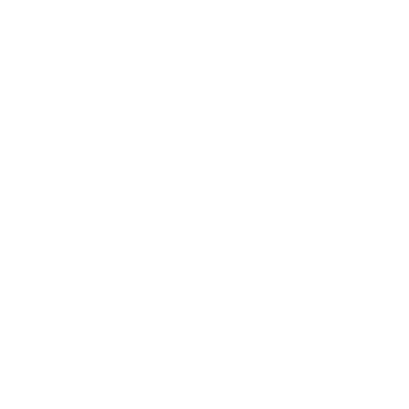 VENITUD logo