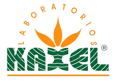 Kaxel logo
