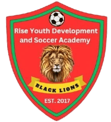riseydasa logo