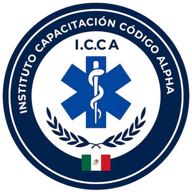 Instituto ICCA logo