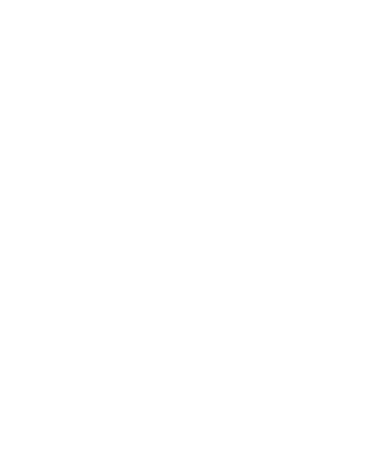 RL MEDIA logo
