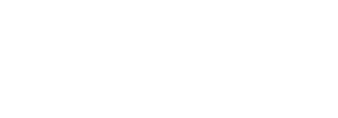 Bluess Business Services & Software logo