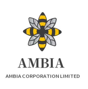 AMBIA CORPORATION LIMITED logo
