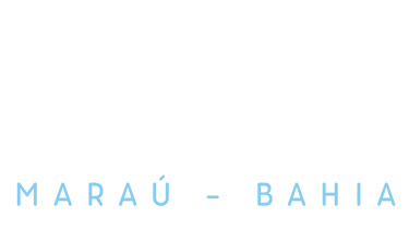 Conexão Barra Grande logo