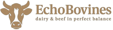 ecobovines logo
