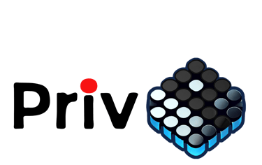 priv.mobi - digital privacy solutions logo