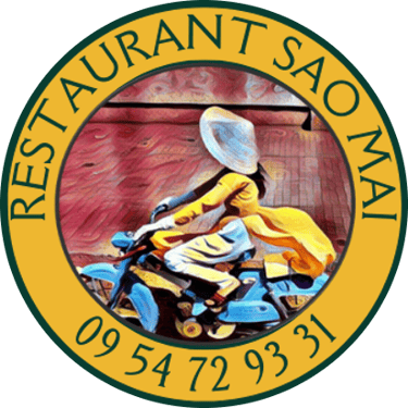Sao Mai logo