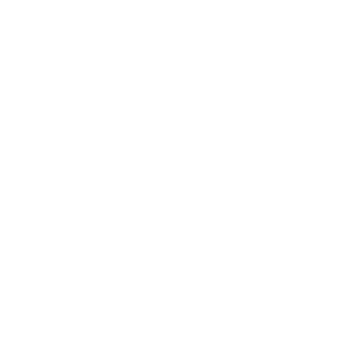 Linjing Wu logo