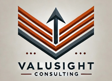 ValuSight Consulting logo