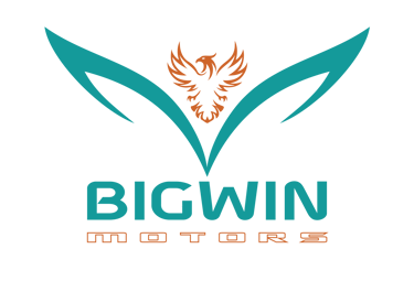 BIGWIN Motors logo