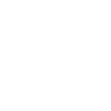 ANADAI logo