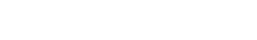lanksyvideo logo
