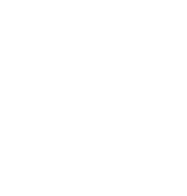 Digiboost logo