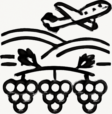 Vineyard Travel Agency logo