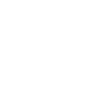 AIM ACADEMY logo