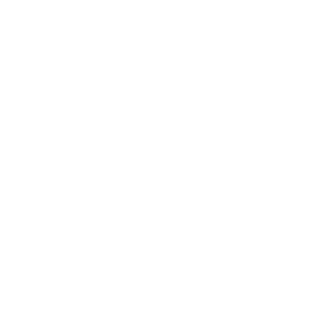Rinsy - Premium Reiniger logo