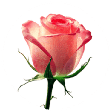 404sings Create Pop Music logo