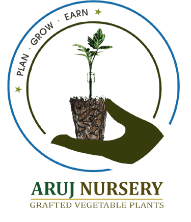 Aruj Nursery - North India's 1st Grafted Vegetables Nursery logo