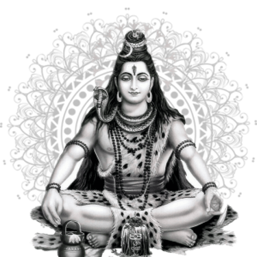 Mr. Online Astro logo