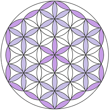 Fleur Quantique logo