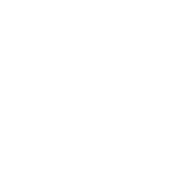 Brand Blinks Global logo