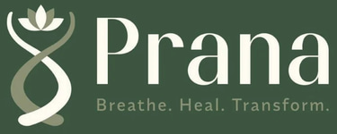 Prana Hyperbaric Oxygen Therapy Centre logo