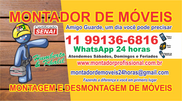 Desmontagem De Móveis Montagem De Móveis 11991366816 Plantão 24Horas Montador De Móveis Marceneiro logo