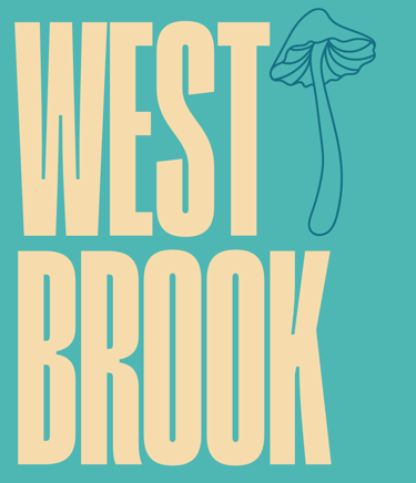 West Brook Guitar and Slide Guitar logo