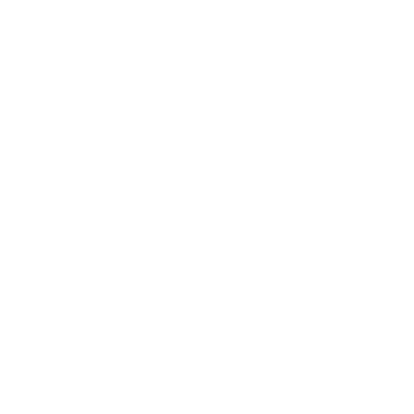 Photographe Professionnel Saint-Barthélémy logo