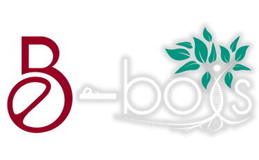 b-bois (bureau d'étude, menuiserie et agencement) logo