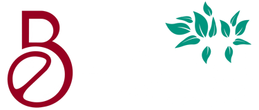 b-bois (bureau d'étude, menuiserie et agencement) logo