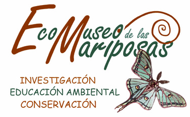 ecomuseodelasmariposas logo